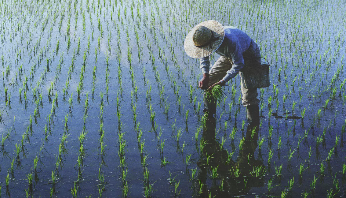 A Birds-Eye View on Derisking Funding for Social Impact Entrepreneurship